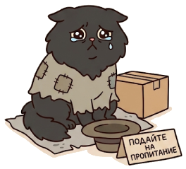 Кот с табличкой